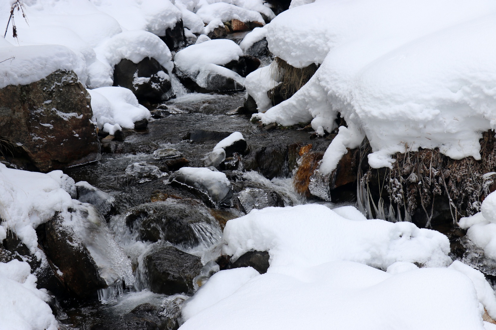 Gümüşhaneli dağcılardan Kalis yaylasına unutulmaz kış yürüyüşü 21