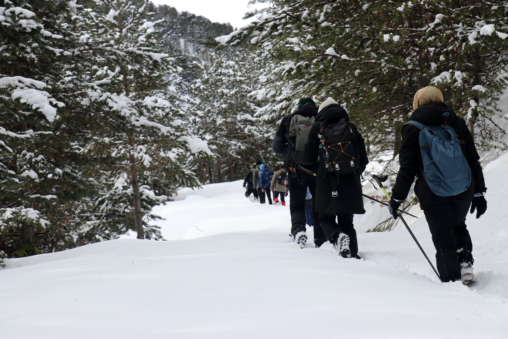 Gümüşhaneli dağcılardan Kalis yaylasına unutulmaz kış yürüyüşü 63