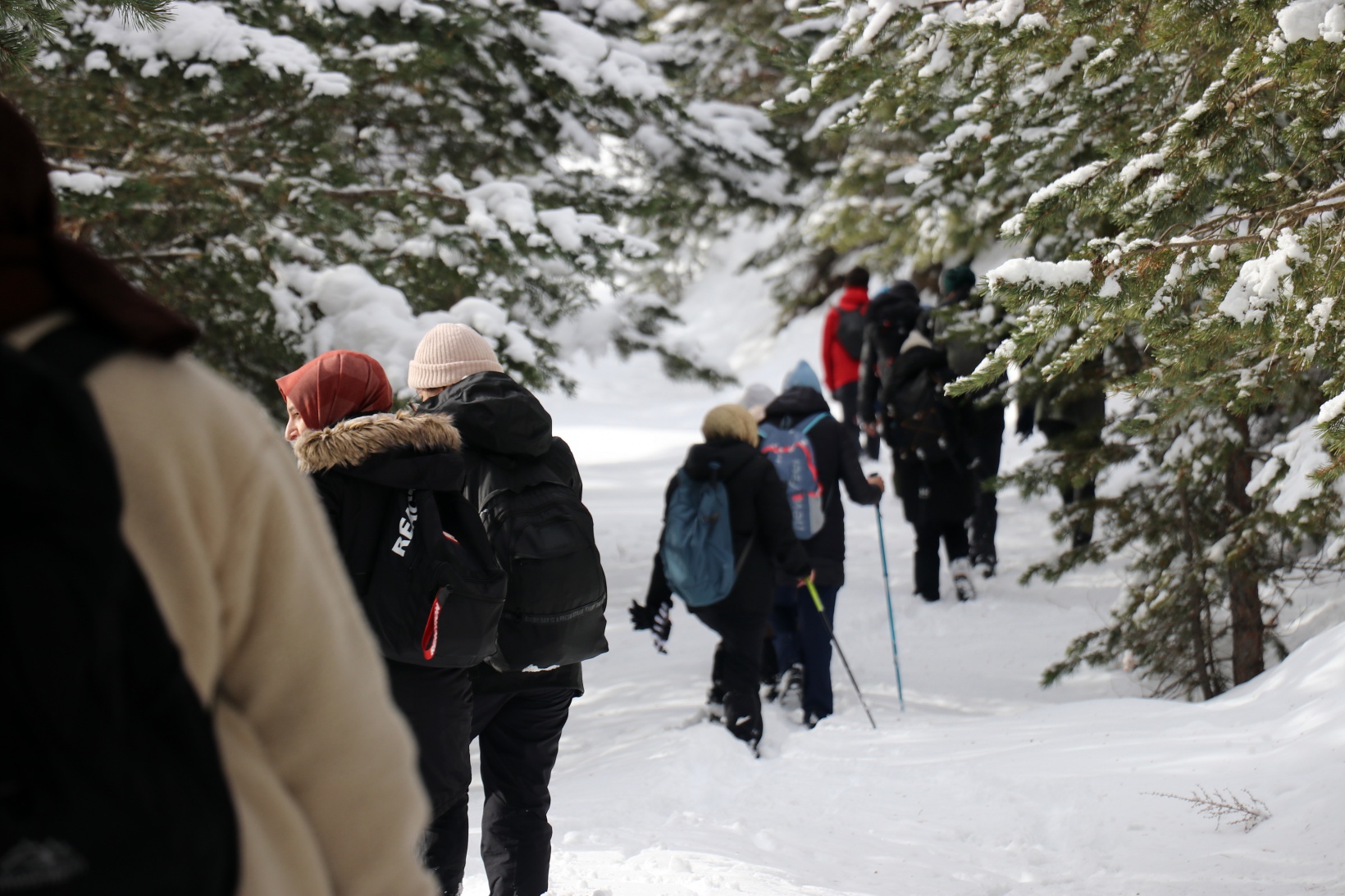 Gümüşhaneli dağcılardan Kalis yaylasına unutulmaz kış yürüyüşü 4