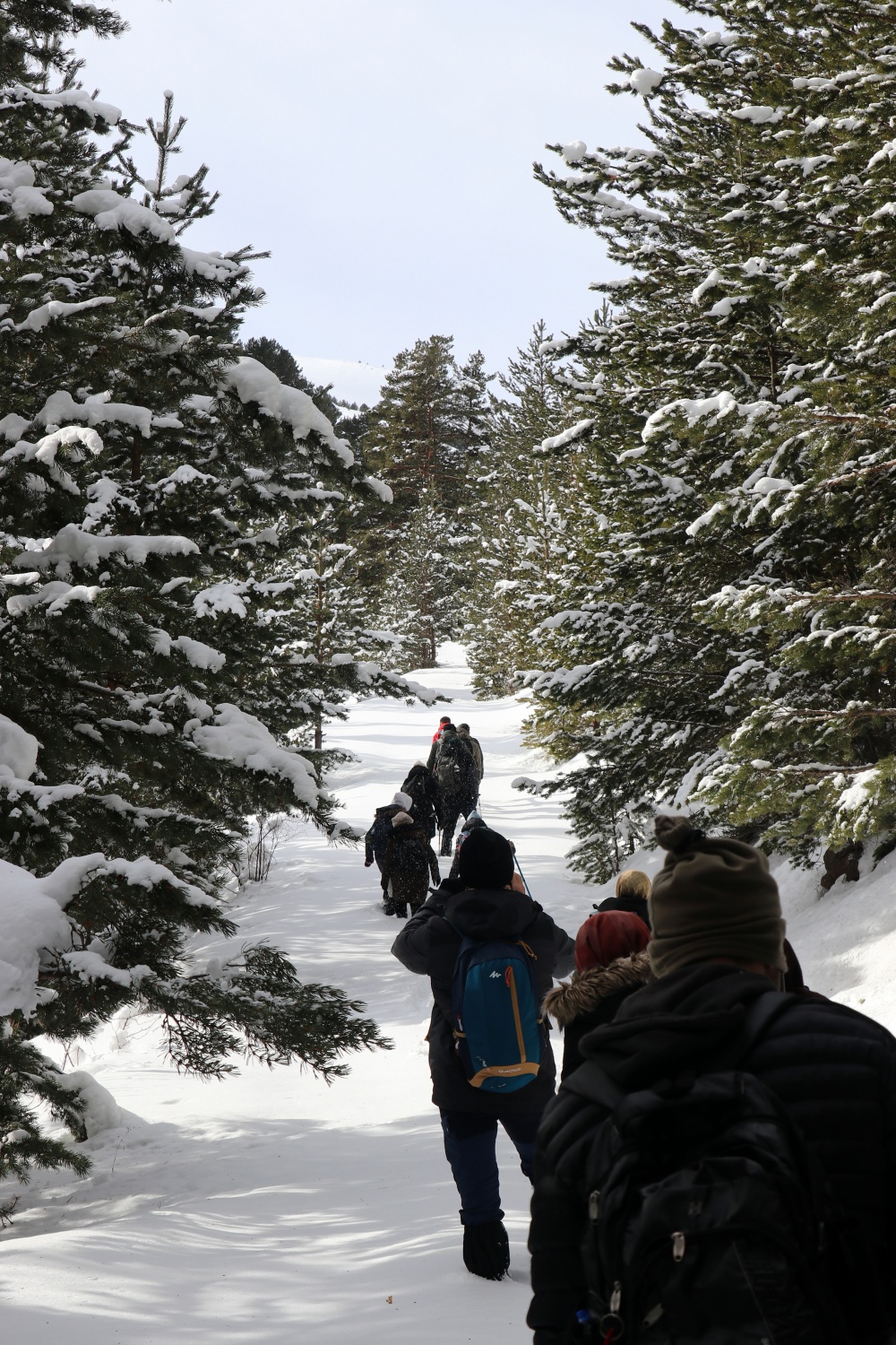 Gümüşhaneli dağcılardan Kalis yaylasına unutulmaz kış yürüyüşü 67