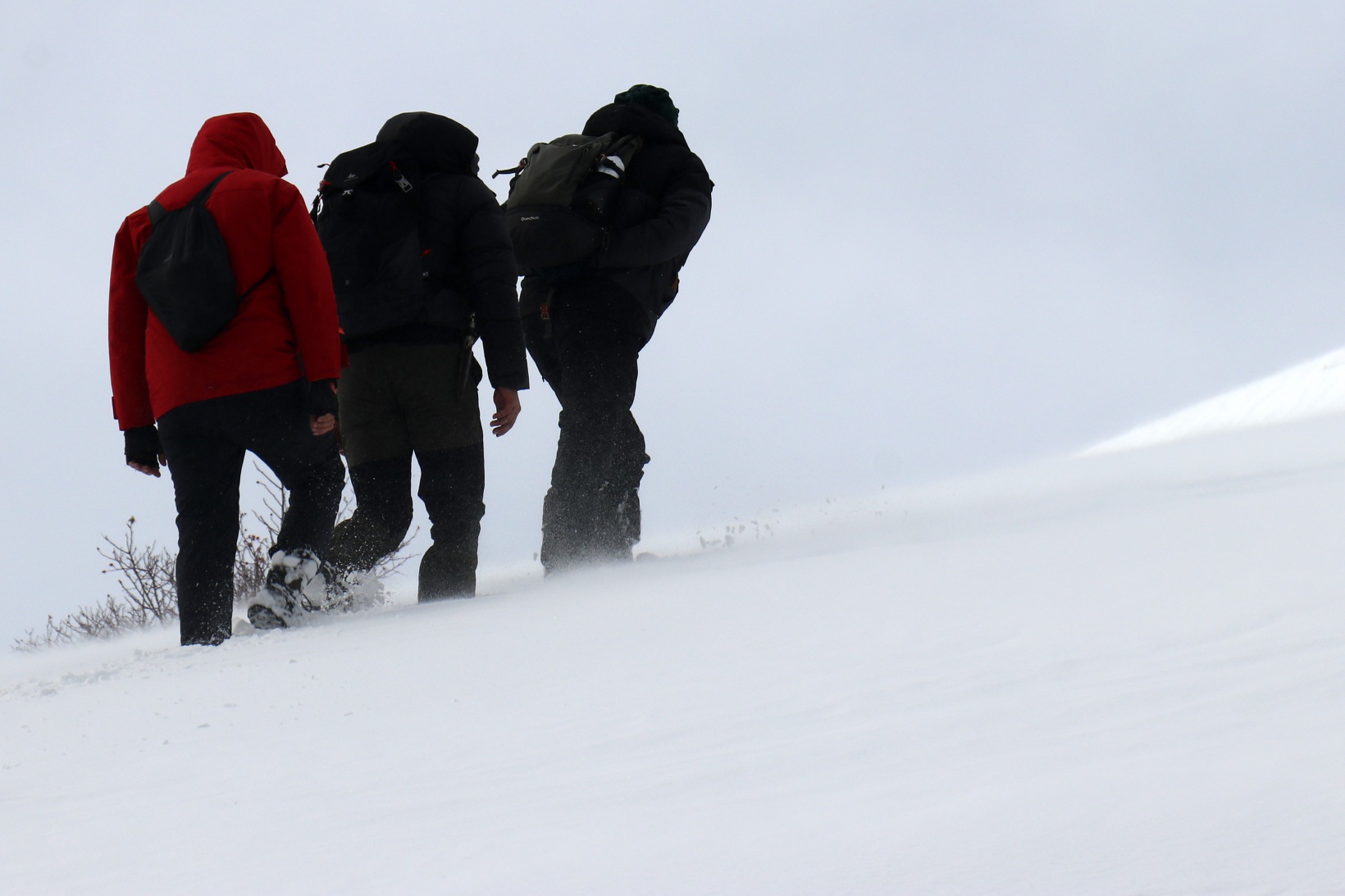Gümüşhaneli dağcılardan Kalis yaylasına unutulmaz kış yürüyüşü 66