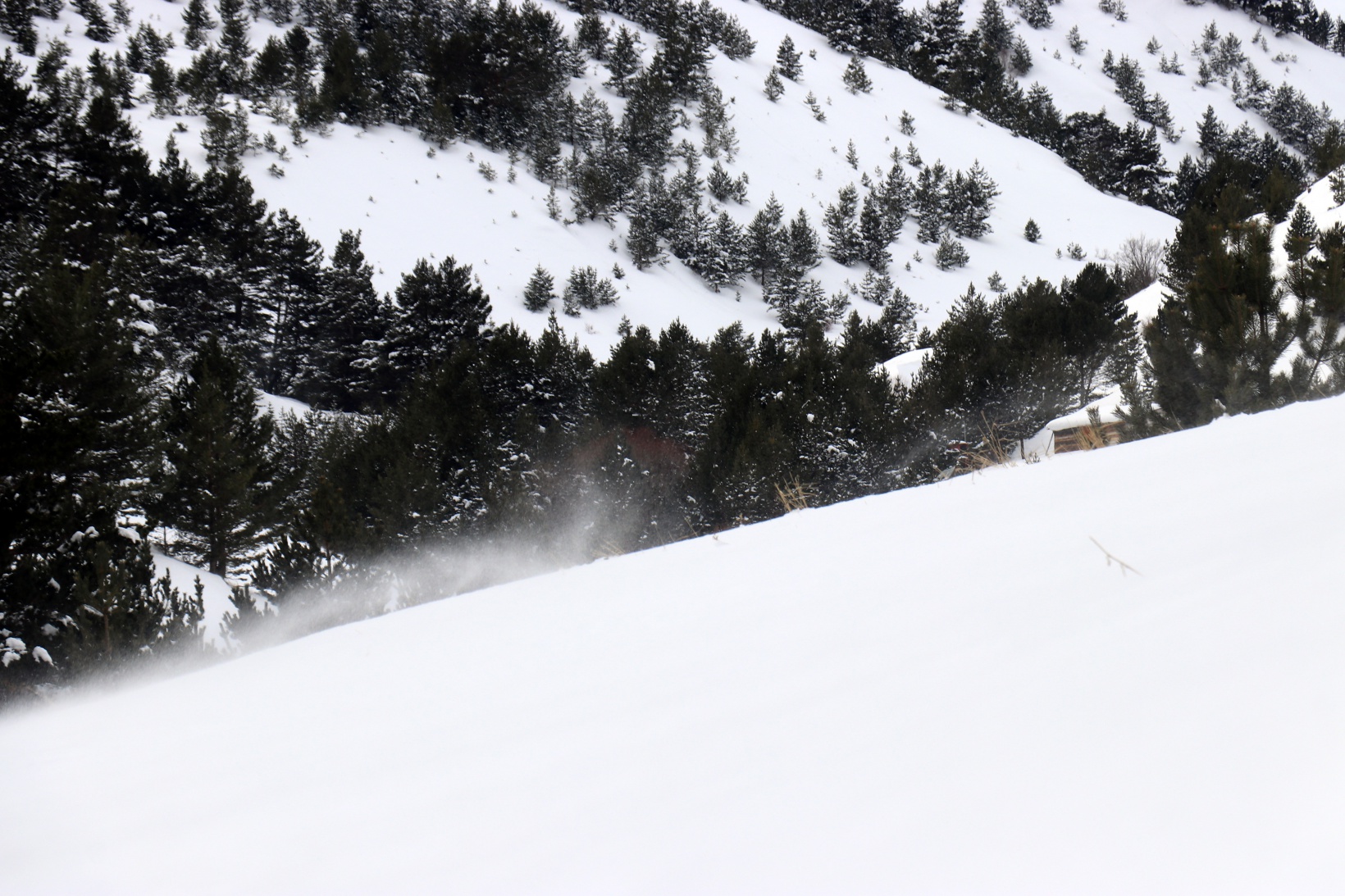 Gümüşhaneli dağcılardan Kalis yaylasına unutulmaz kış yürüyüşü 19