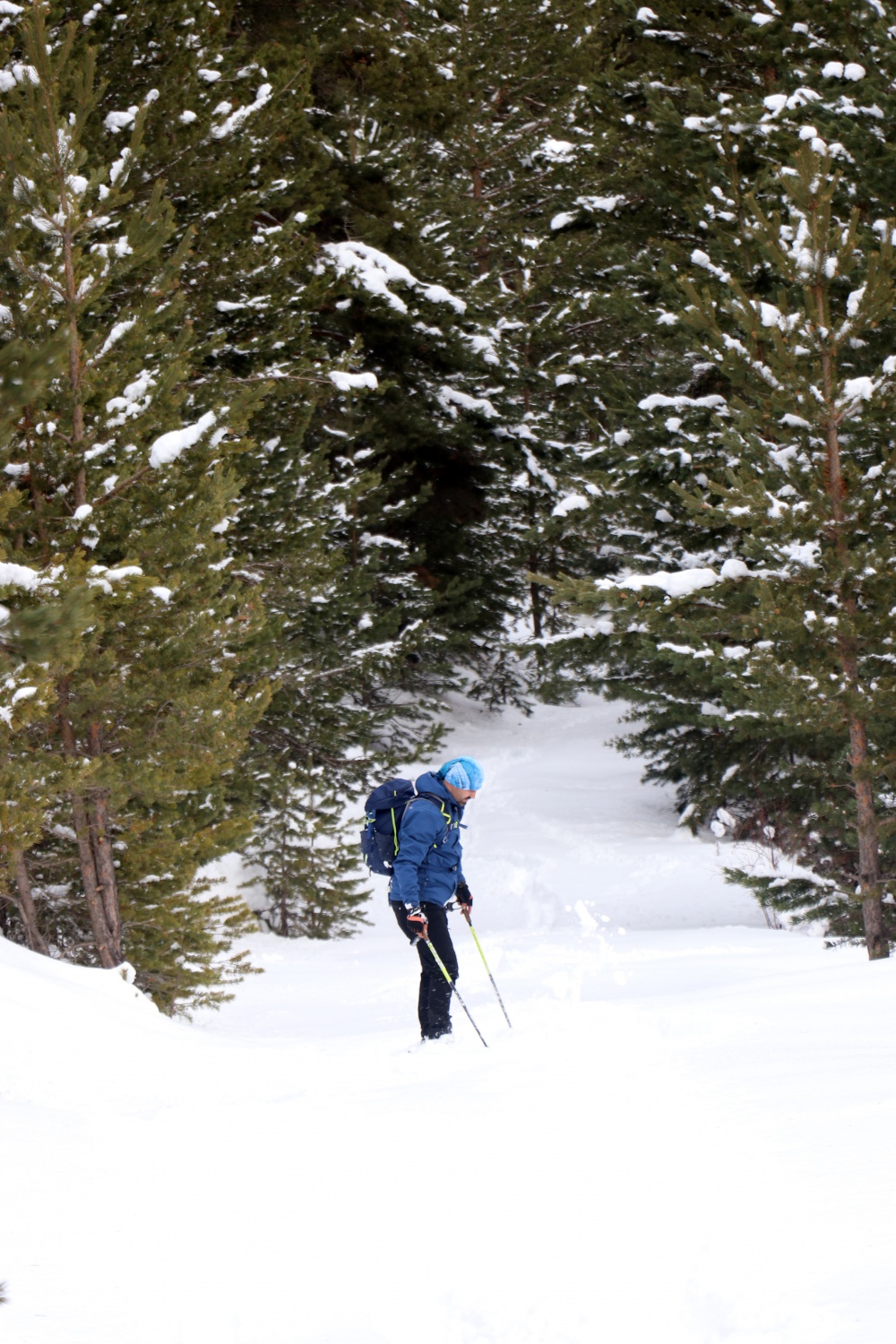 Gümüşhaneli dağcılardan Kalis yaylasına unutulmaz kış yürüyüşü 17