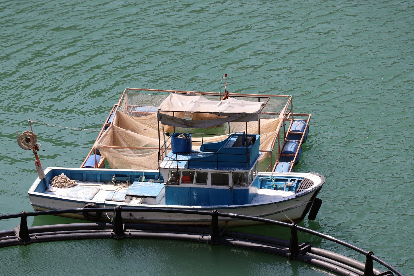 Torul barajında alabalık üretimi 21