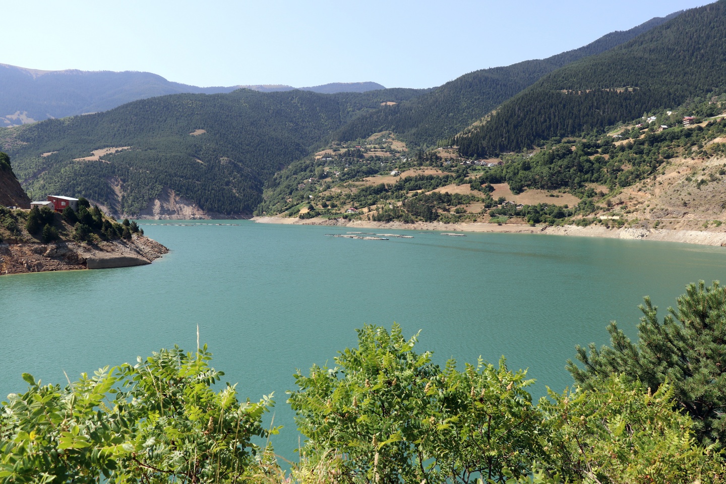 Torul barajında alabalık üretimi 17