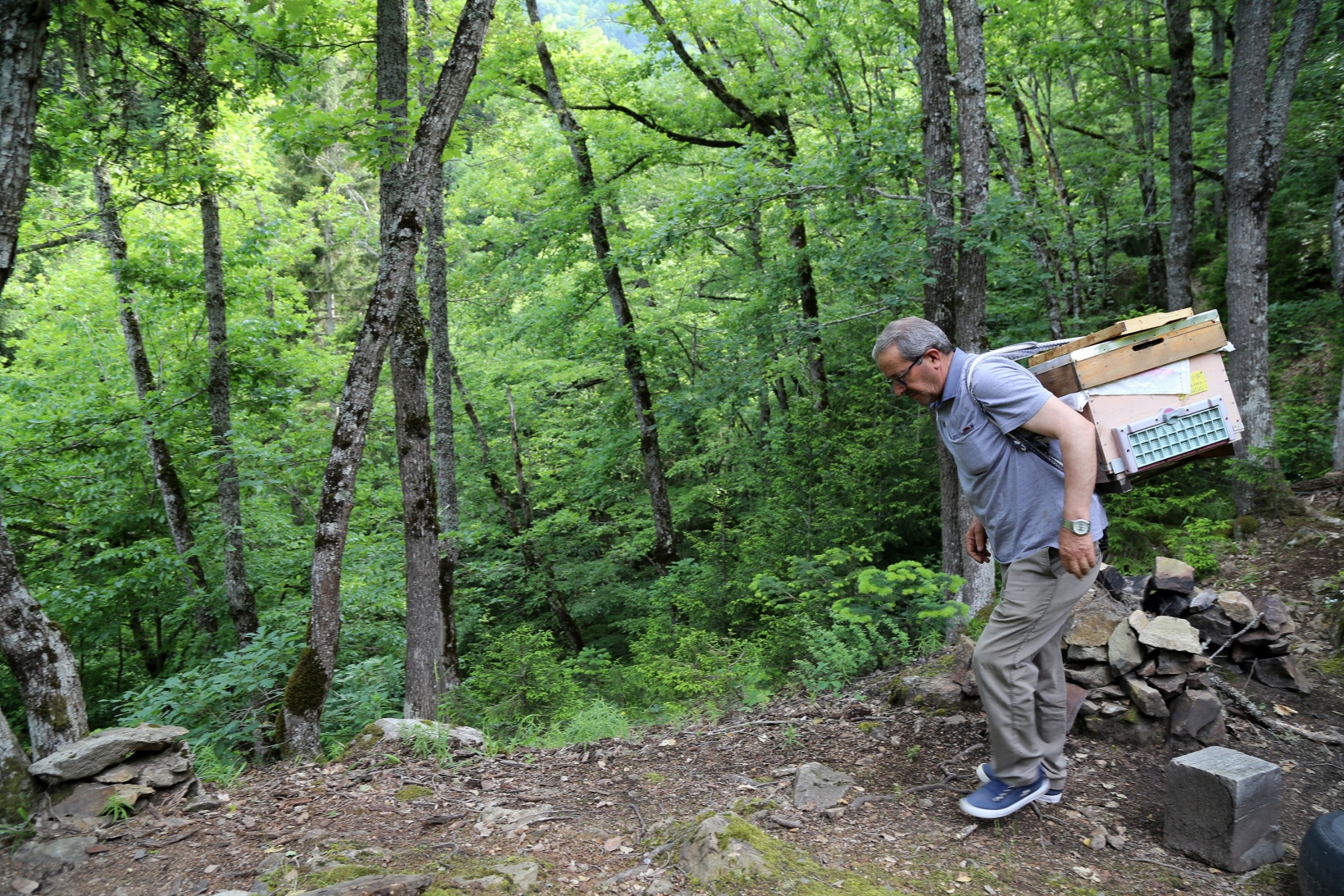 Asırlardır kayalar üzerinde bal üretiyorlar 7