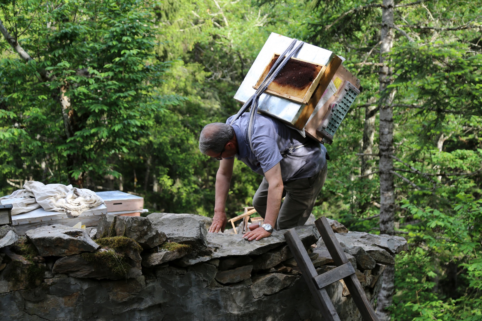 Asırlardır kayalar üzerinde bal üretiyorlar 4