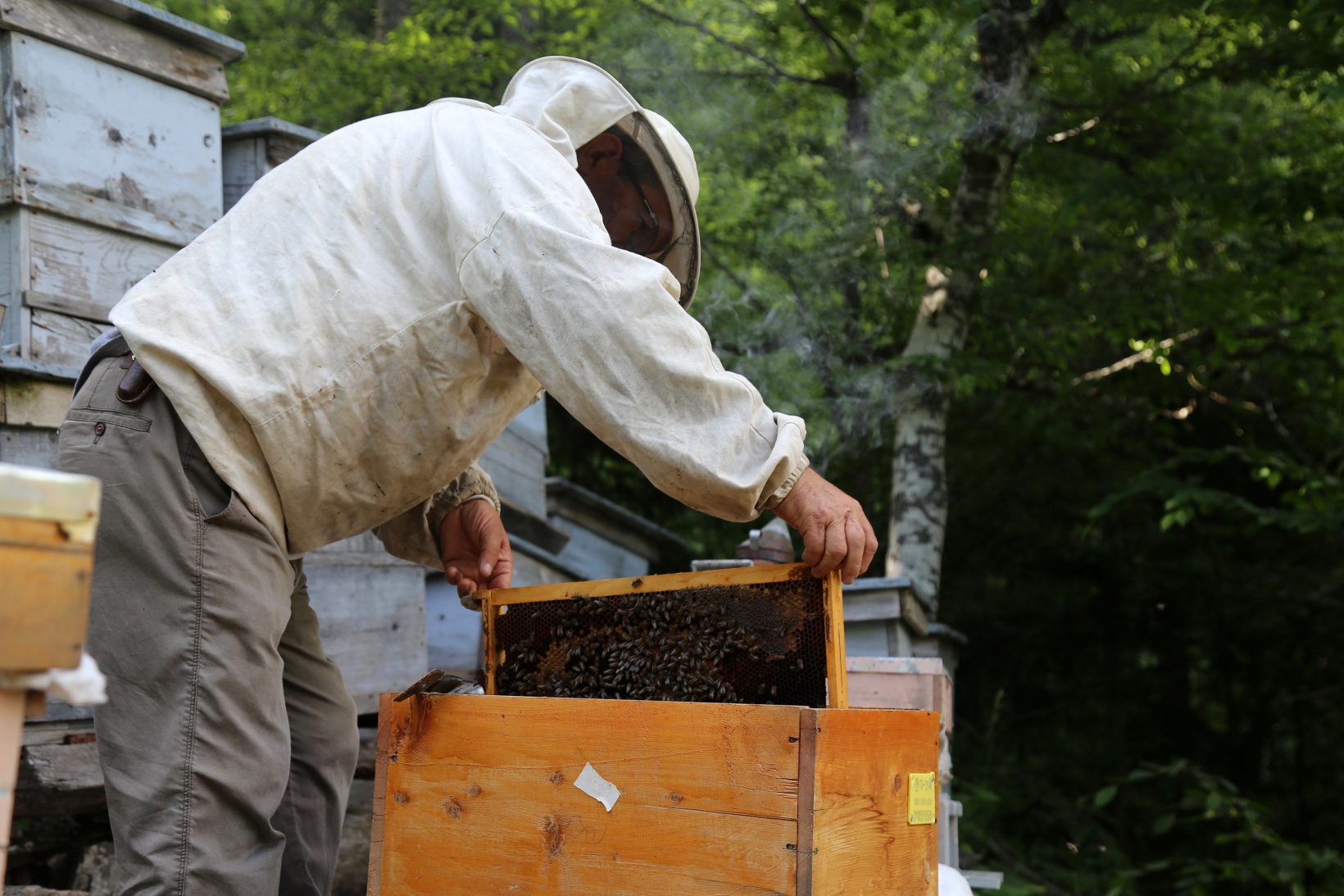 Asırlardır kayalar üzerinde bal üretiyorlar 11