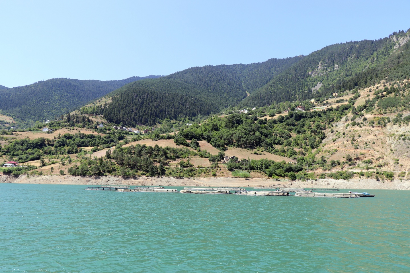 Torul barajında alabalık üretimi 24