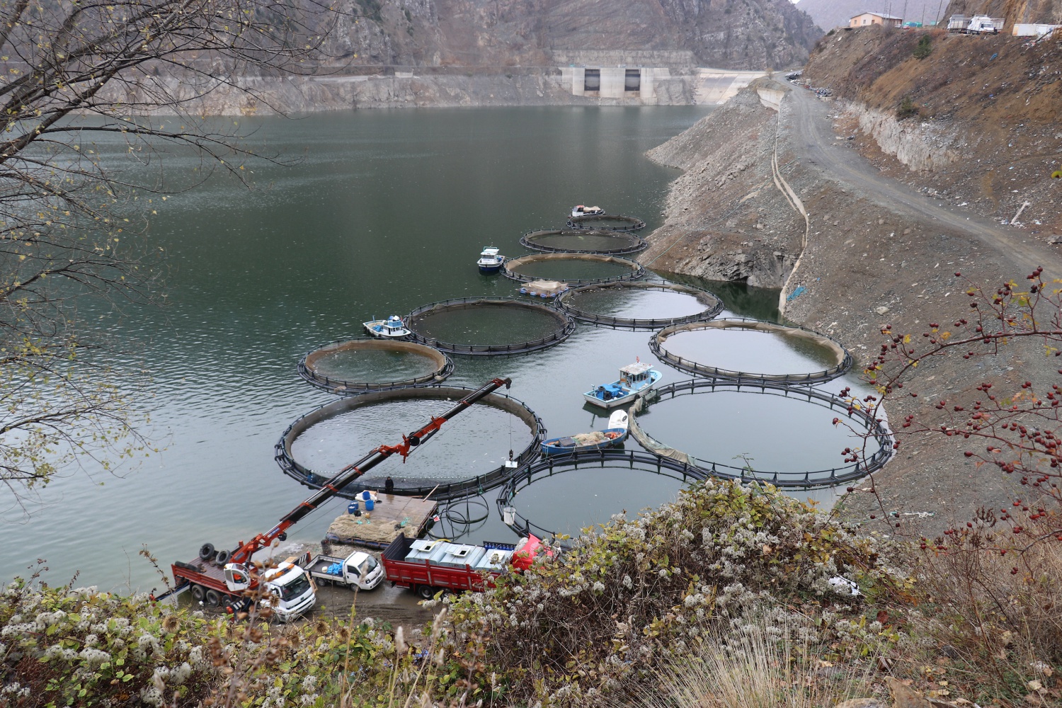 12 bin nüfuslu ilçeden milyon nüfuslu ülkelere balık ihraç ediliyor 43