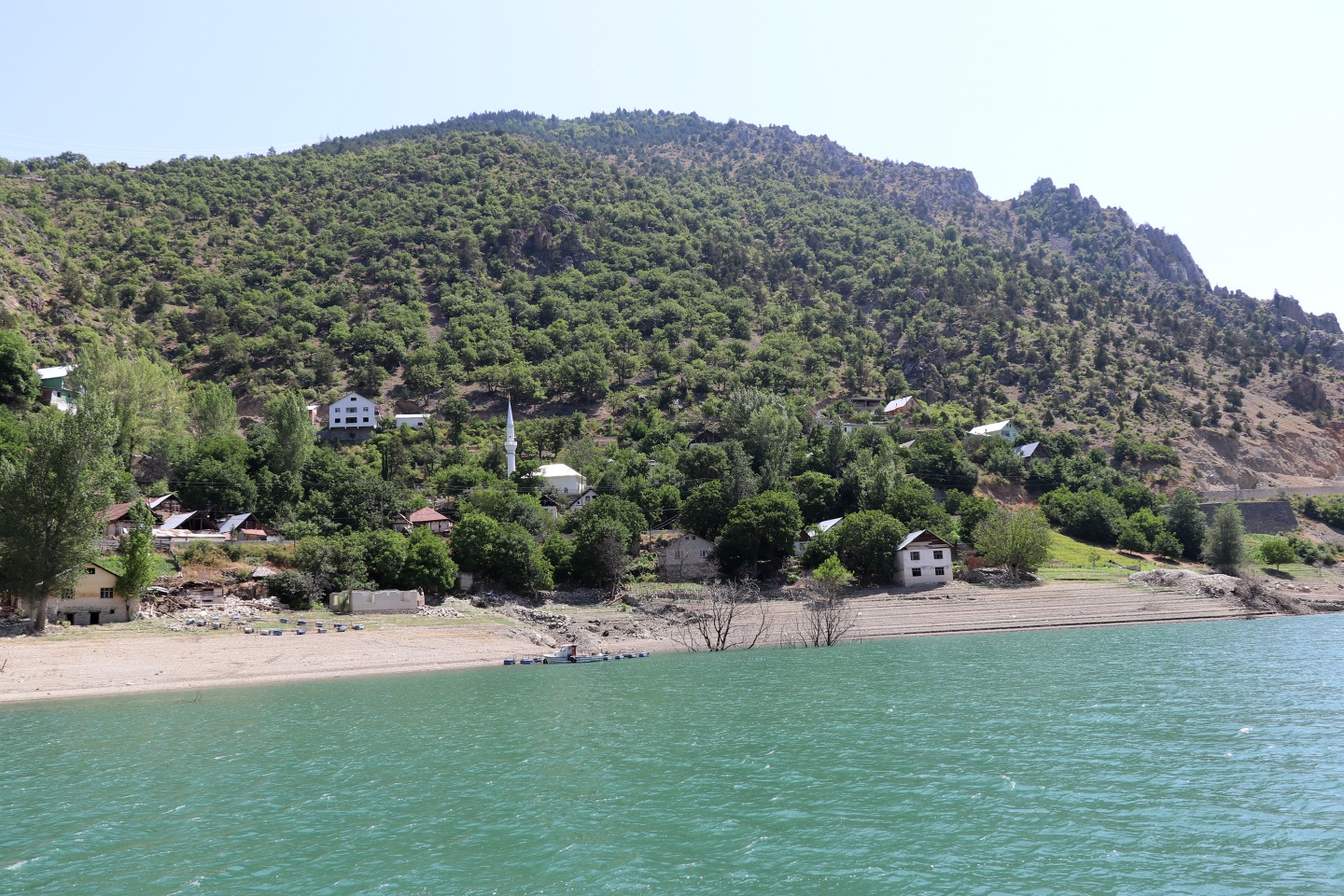 Torul barajında alabalık üretimi 19