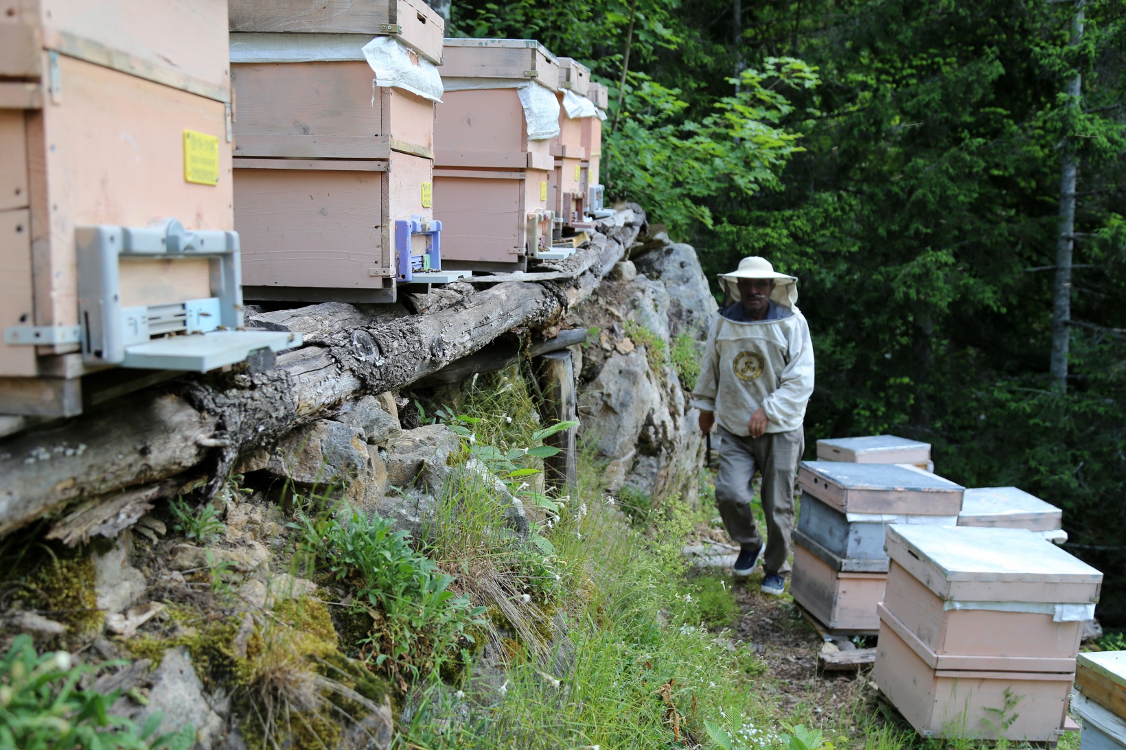 Asırlardır kayalar üzerinde bal üretiyorlar 8