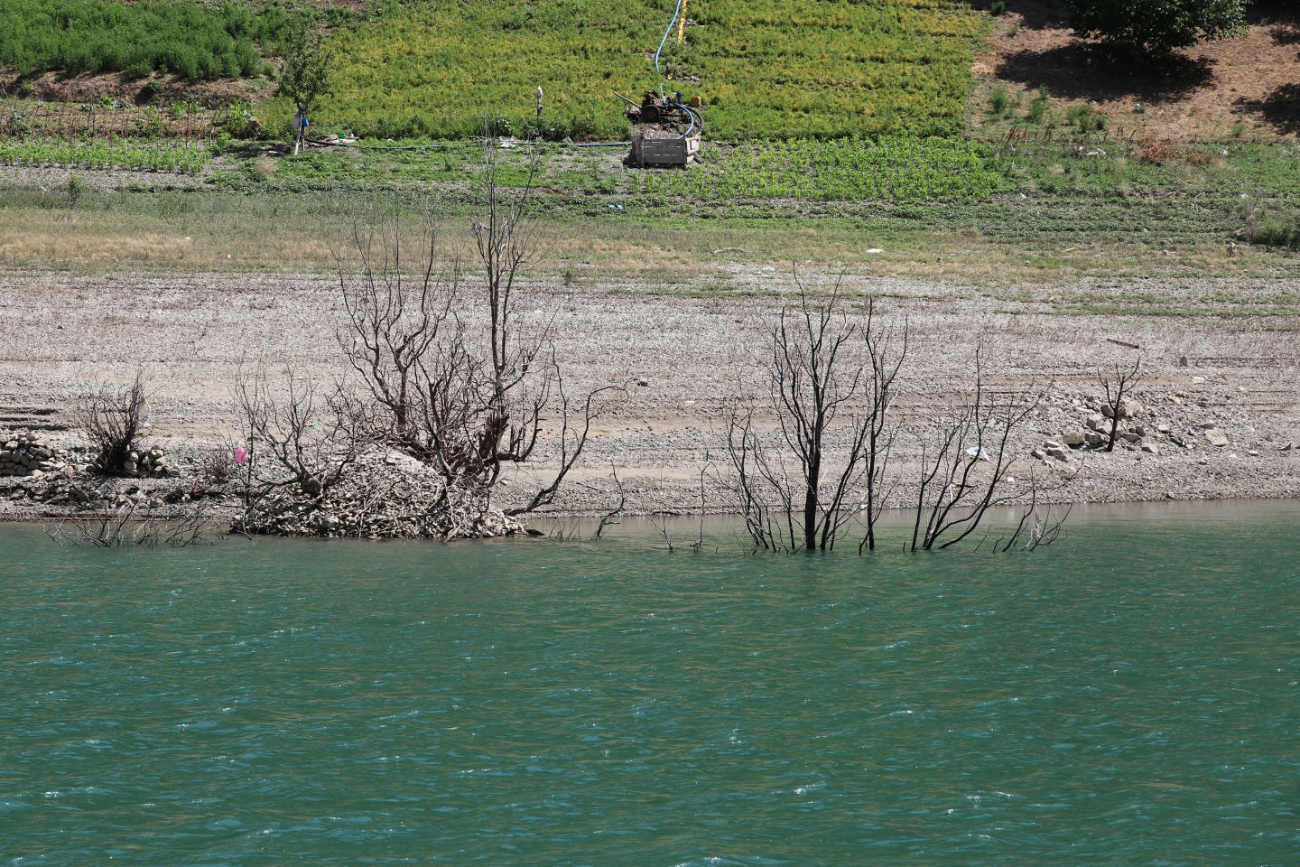 Torul barajında alabalık üretimi 28