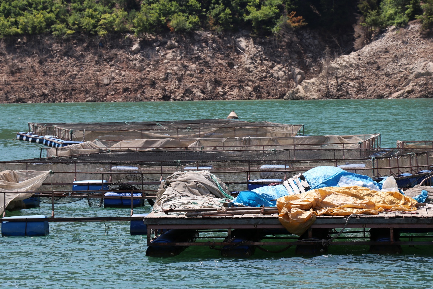 Torul barajında alabalık üretimi 23