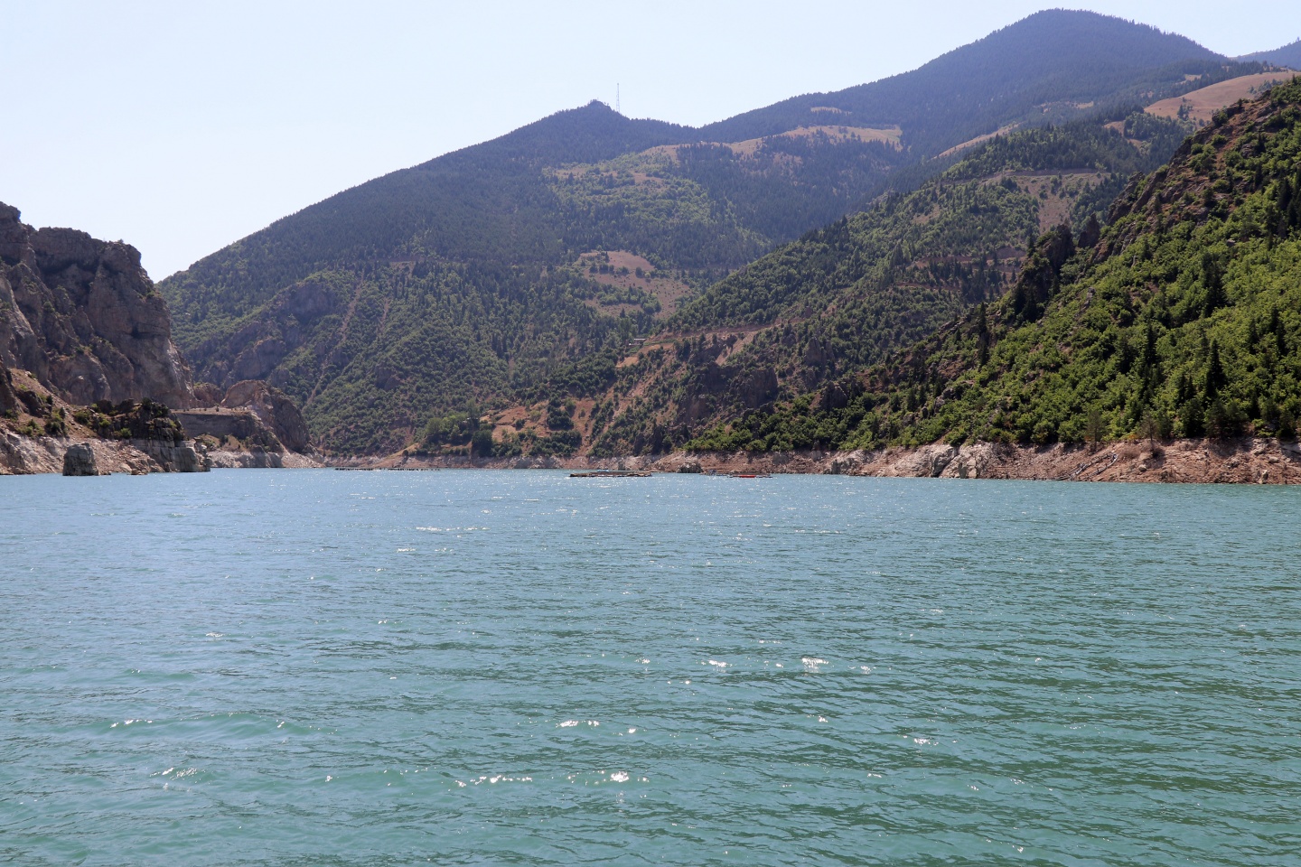 Torul barajında alabalık üretimi 22