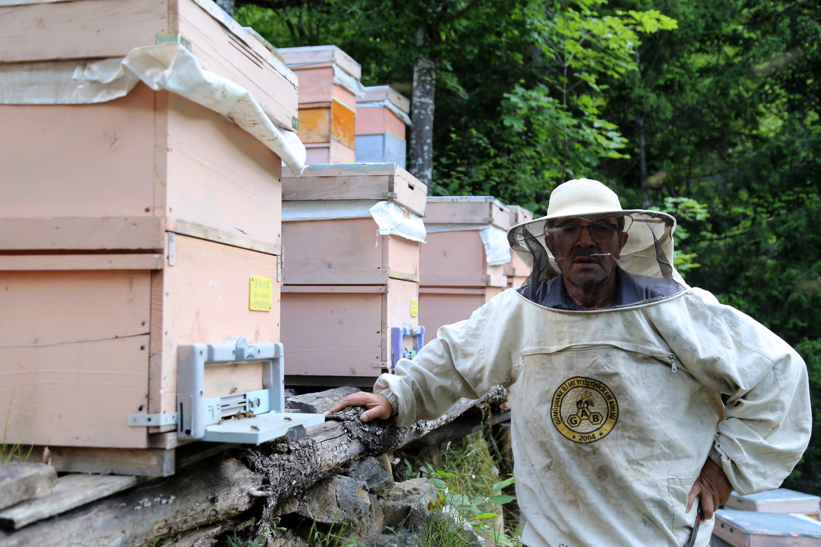 Asırlardır kayalar üzerinde bal üretiyorlar 5