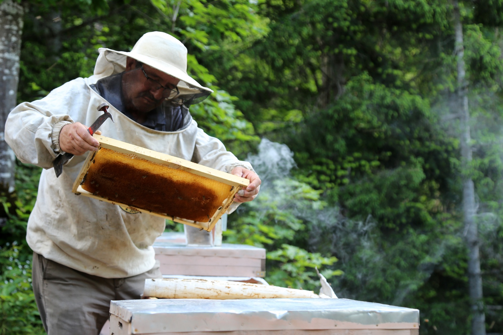 Asırlardır kayalar üzerinde bal üretiyorlar 1