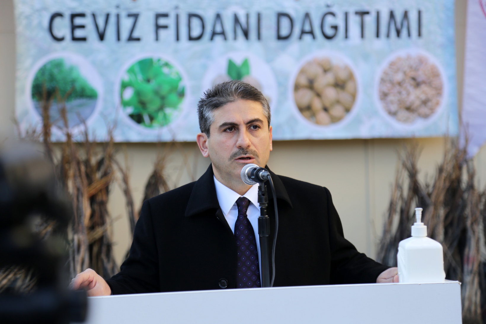 Gümüşhane’de 5 bin 322 adet ceviz fidanı daha toprakla buluştu 11