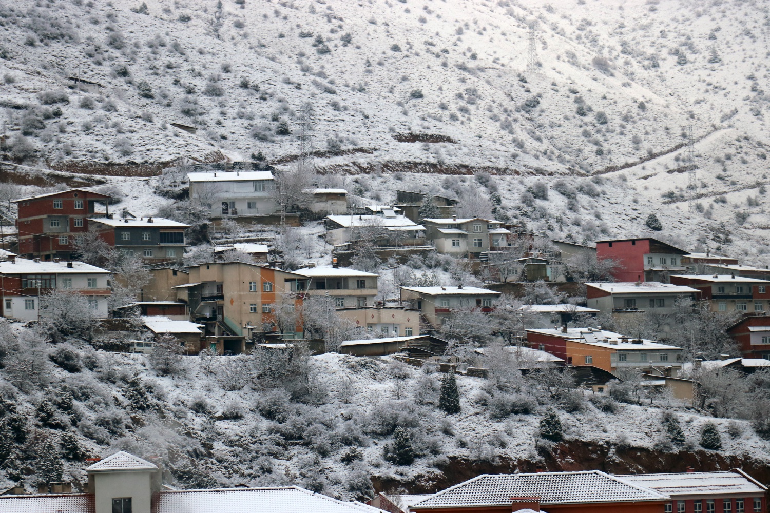 Gümüşhane’de kar yağışı etkili oldu 2