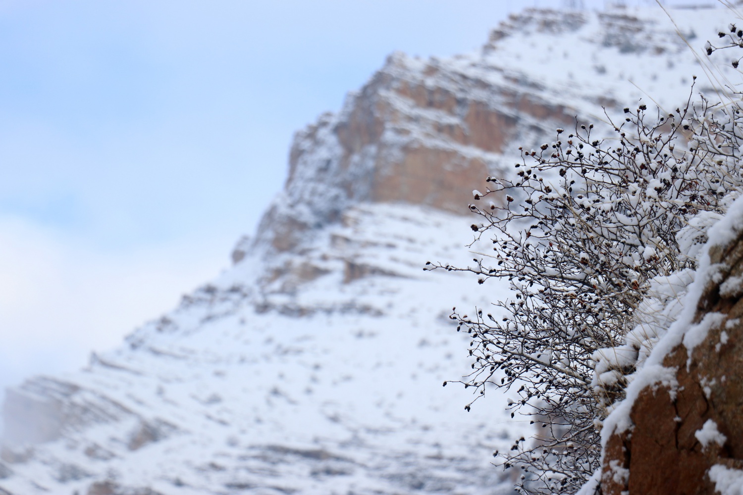 Gümüşhane’de kar yağışı etkili oldu 15