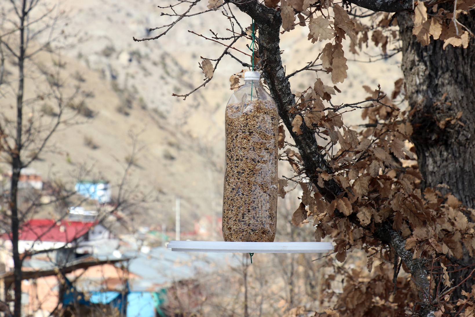 Gümüşhane’de çocuklar kuş yemliği yaparak mutlu oluyor 14