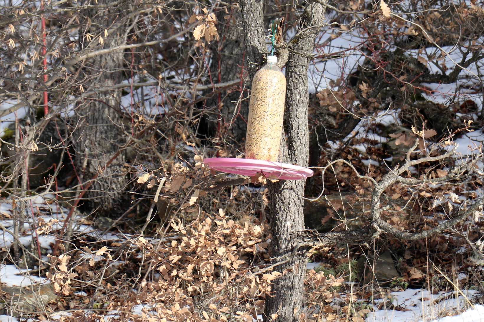Gümüşhane’de çocuklar kuş yemliği yaparak mutlu oluyor 15