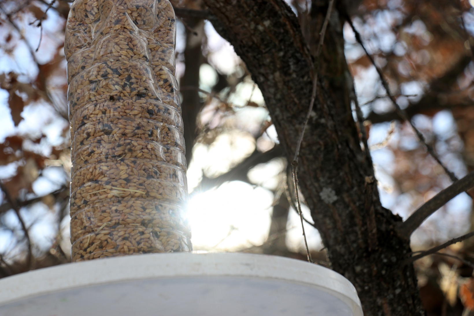 Gümüşhane’de çocuklar kuş yemliği yaparak mutlu oluyor 13