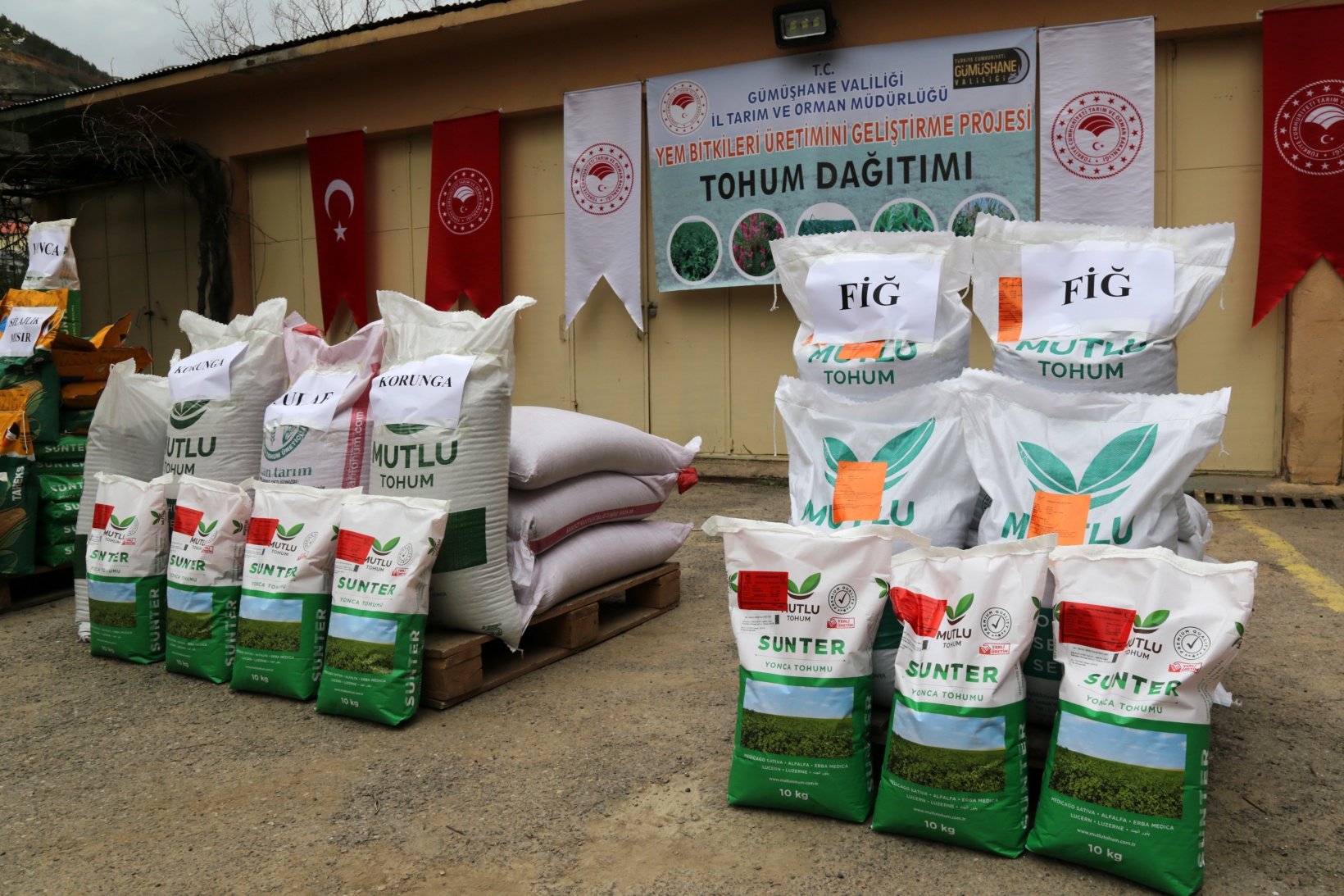 Gümüşhane’de üreticilere 46 ton yem bitkisi tohumu dağıtıldı 4