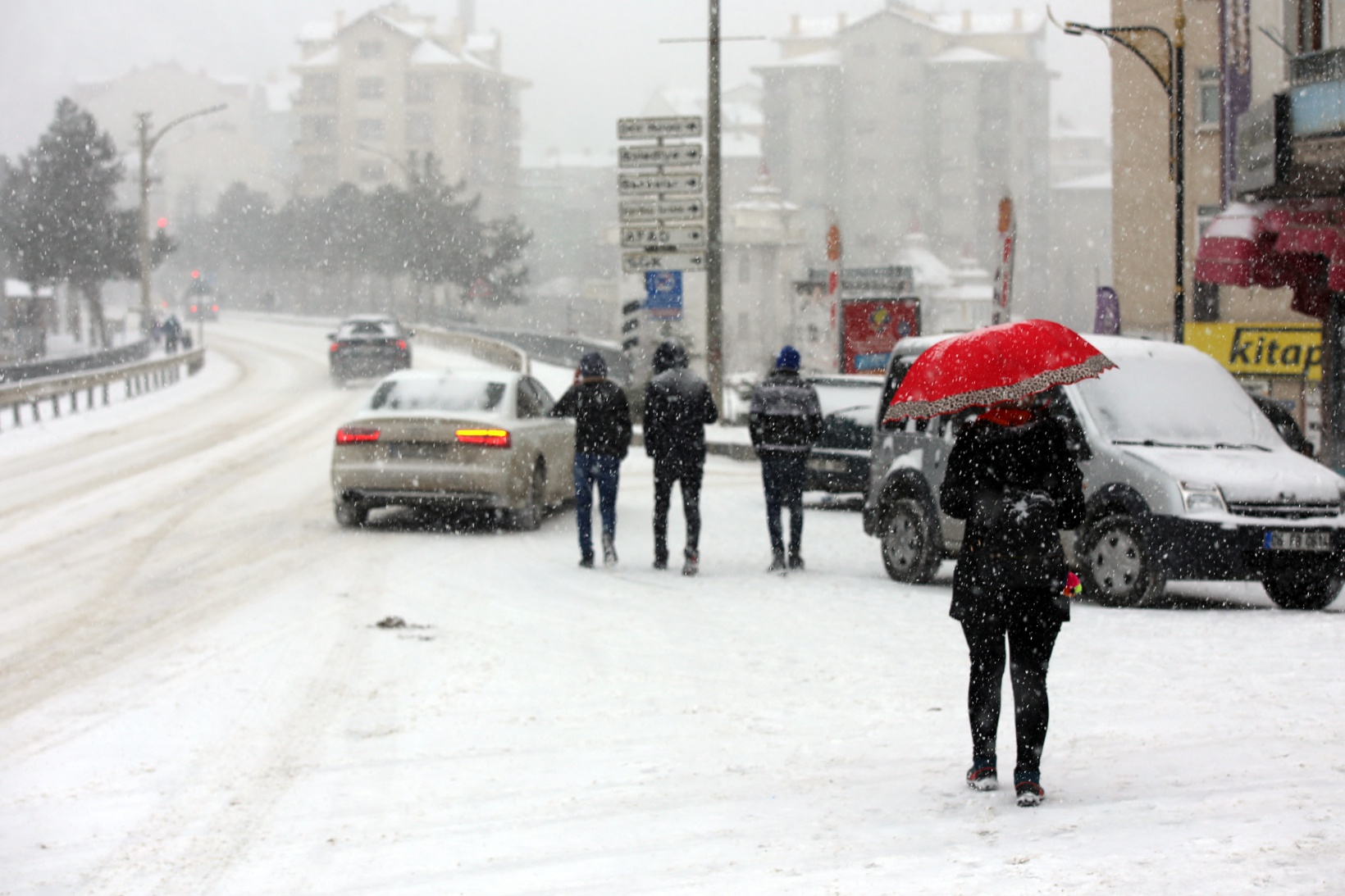 Gümüşhane’de kar yağışı etkili oluyor 10