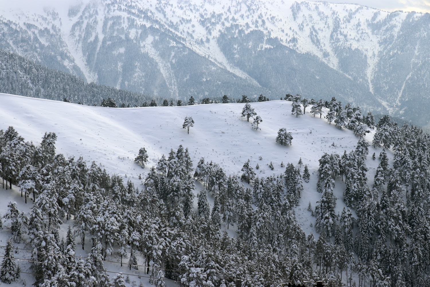 Zigana dağında kar kalınlığı 80 santimetreye ulaştı, kayak sezonu başladı 30