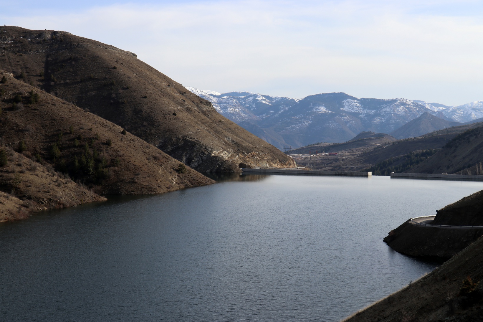 Bahçecik Barajı göçmen kuşların mekanı oldu 8