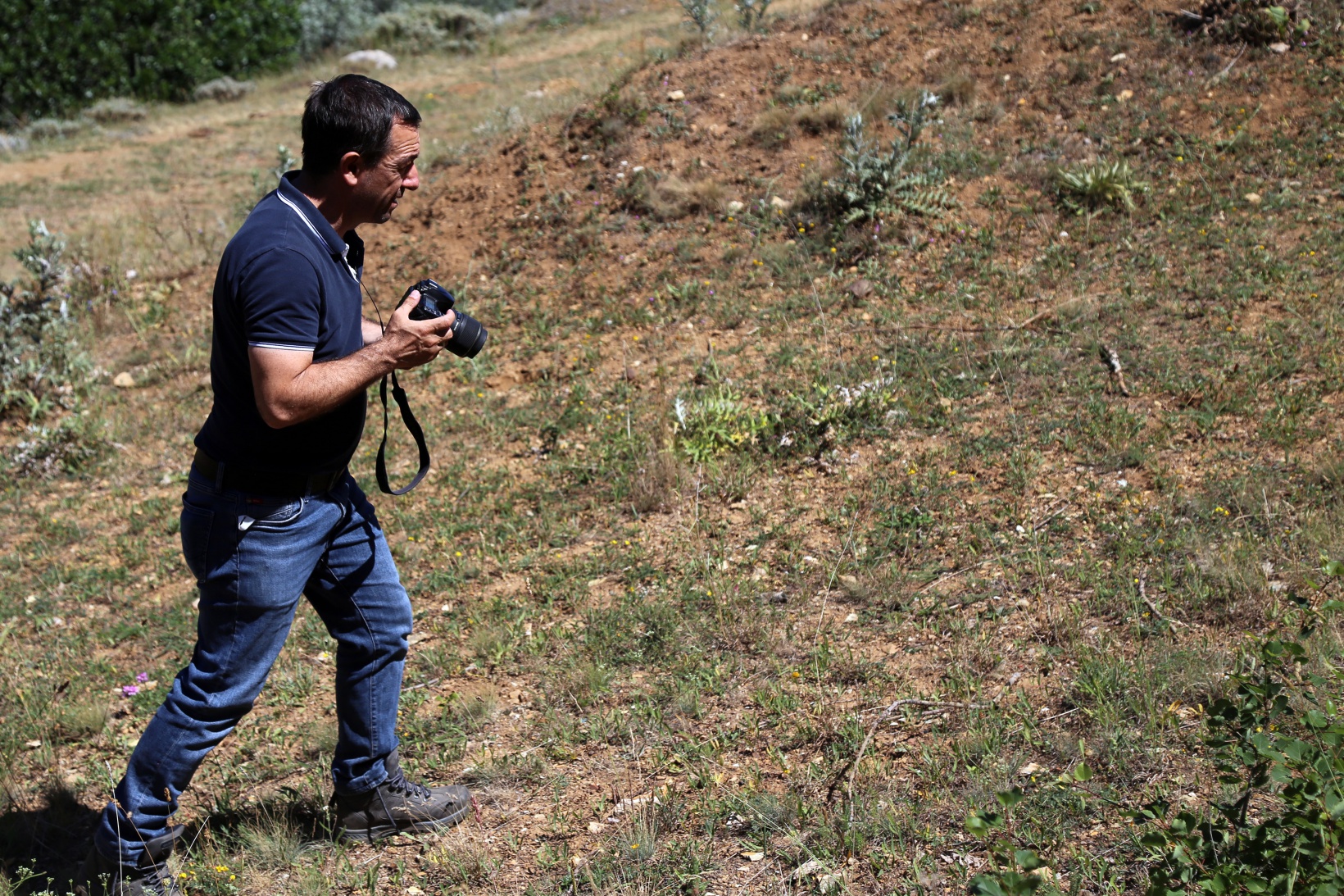 Kelebekler yok oluşun eşiğinde 5