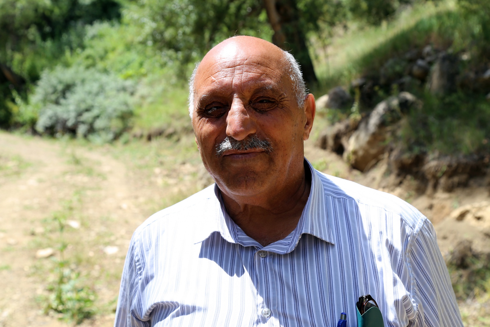 Kelebekler yok oluşun eşiğinde 3