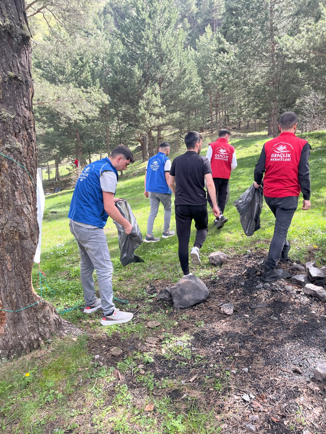 Torul Gençlik Merkezi’nden 19 Mayıs’a özel doğa kampı 22