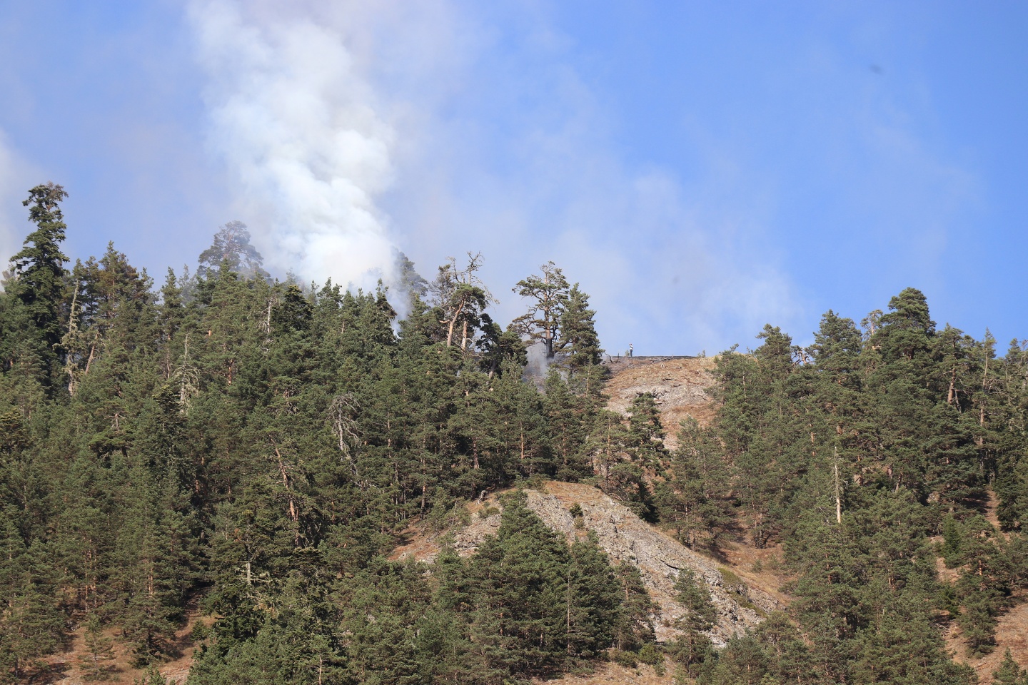 Gümüşhane'de orman yangını 5