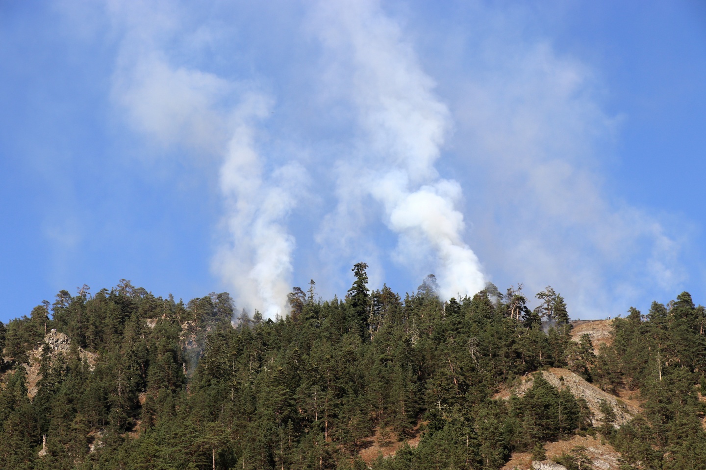 Gümüşhane'de orman yangını 1
