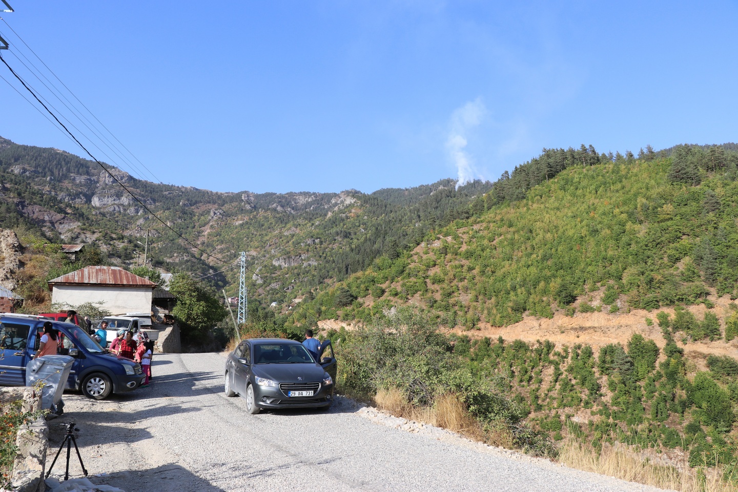 Gümüşhane'de orman yangını 8