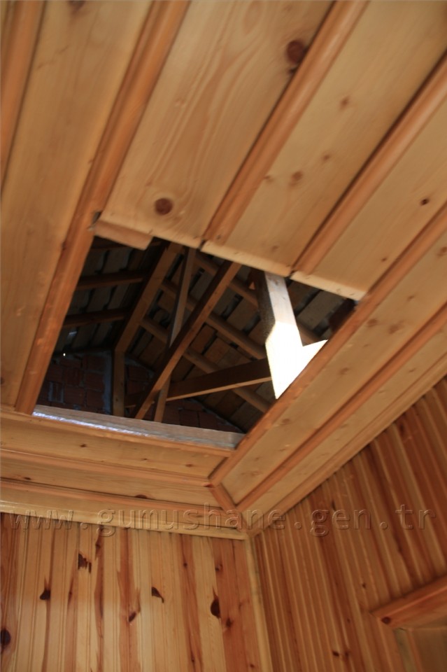 Zalimler Kent Ormanını Parçaladı 1