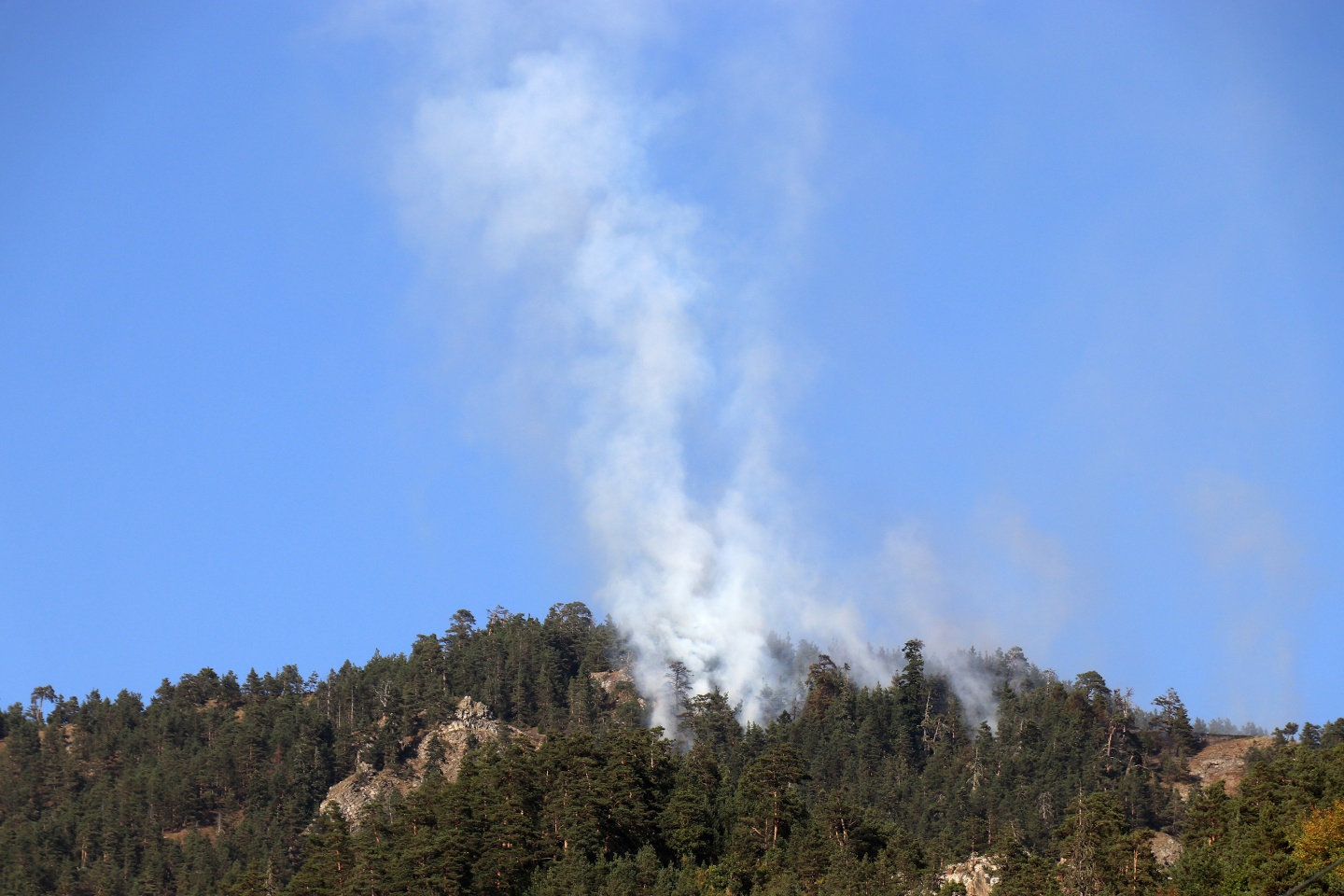 Gümüşhane'de orman yangını 6