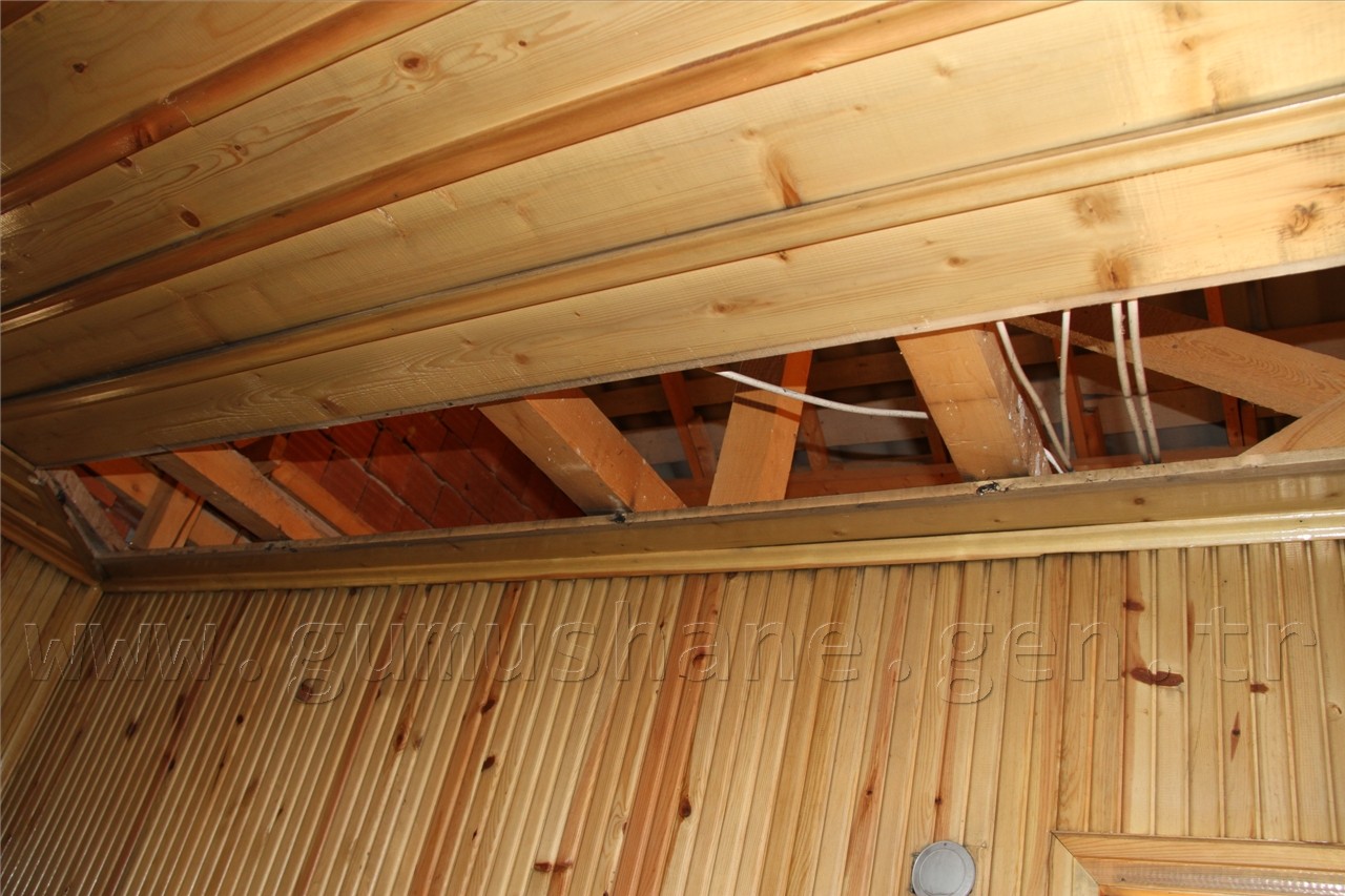 Zalimler Kent Ormanını Parçaladı 2