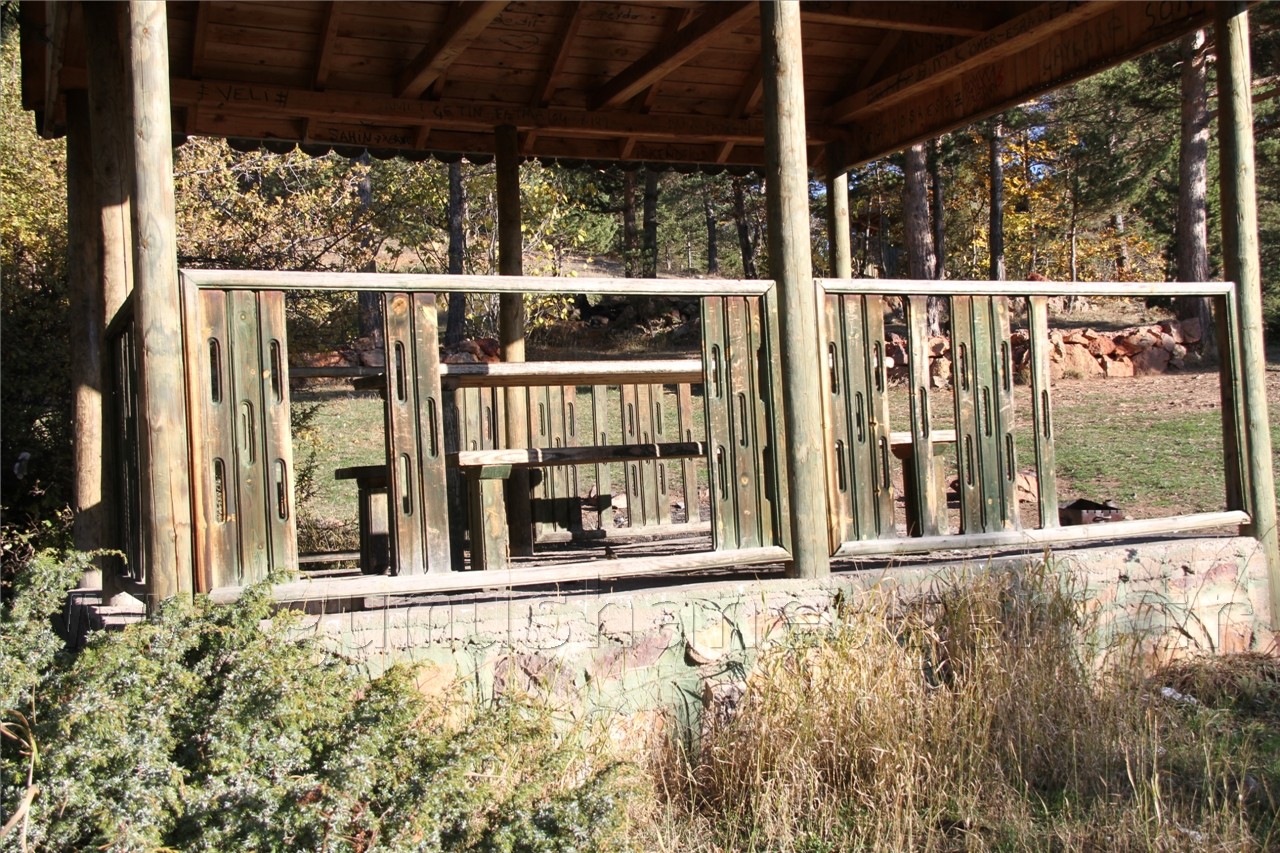 Zalimler Kent Ormanını Parçaladı 3