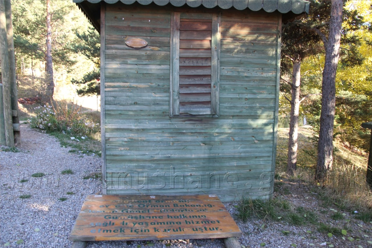 Zalimler Kent Ormanını Parçaladı 4