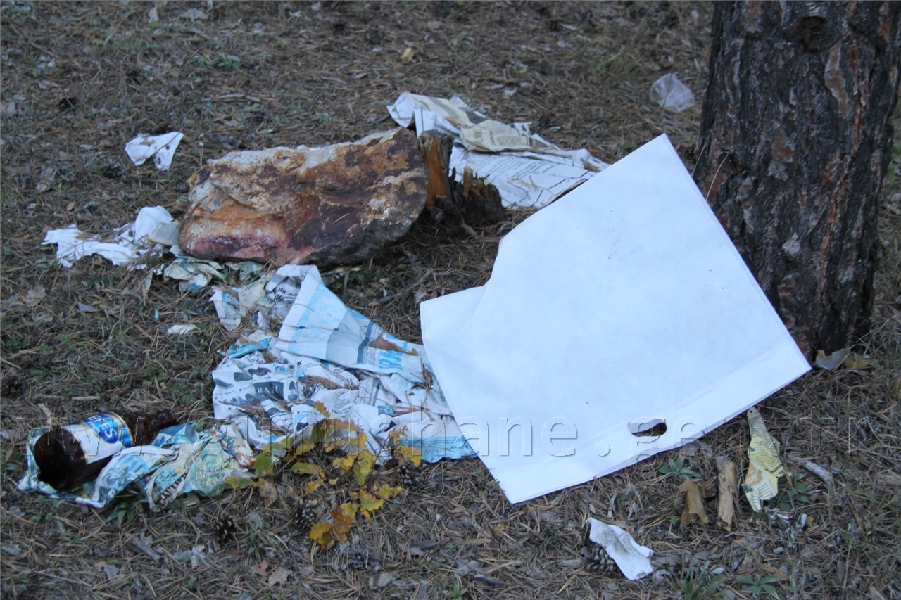 Zalimler Kent Ormanını Parçaladı 5