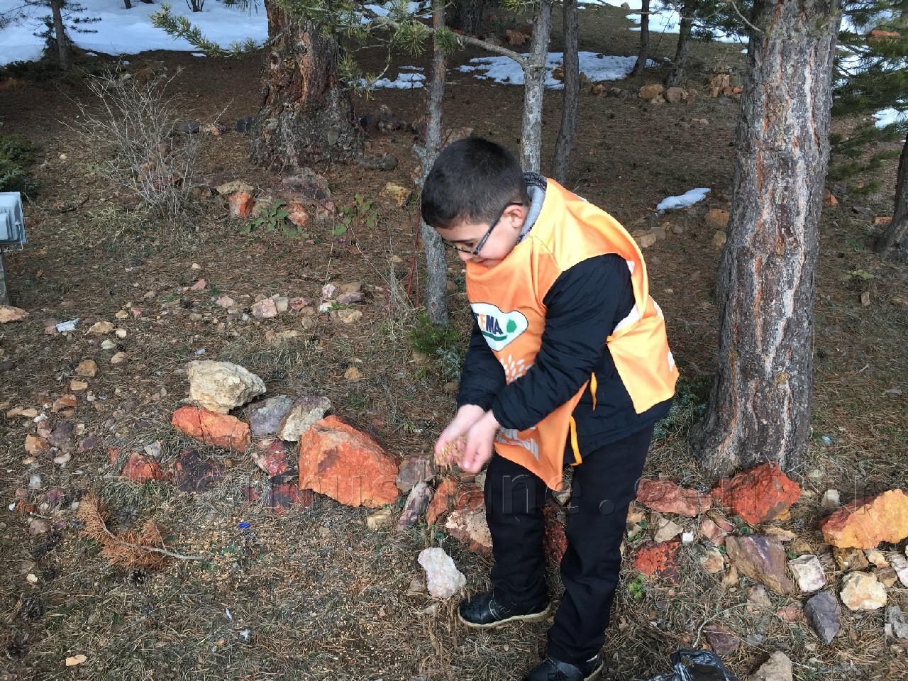 TEMA kuşları yemledi 9