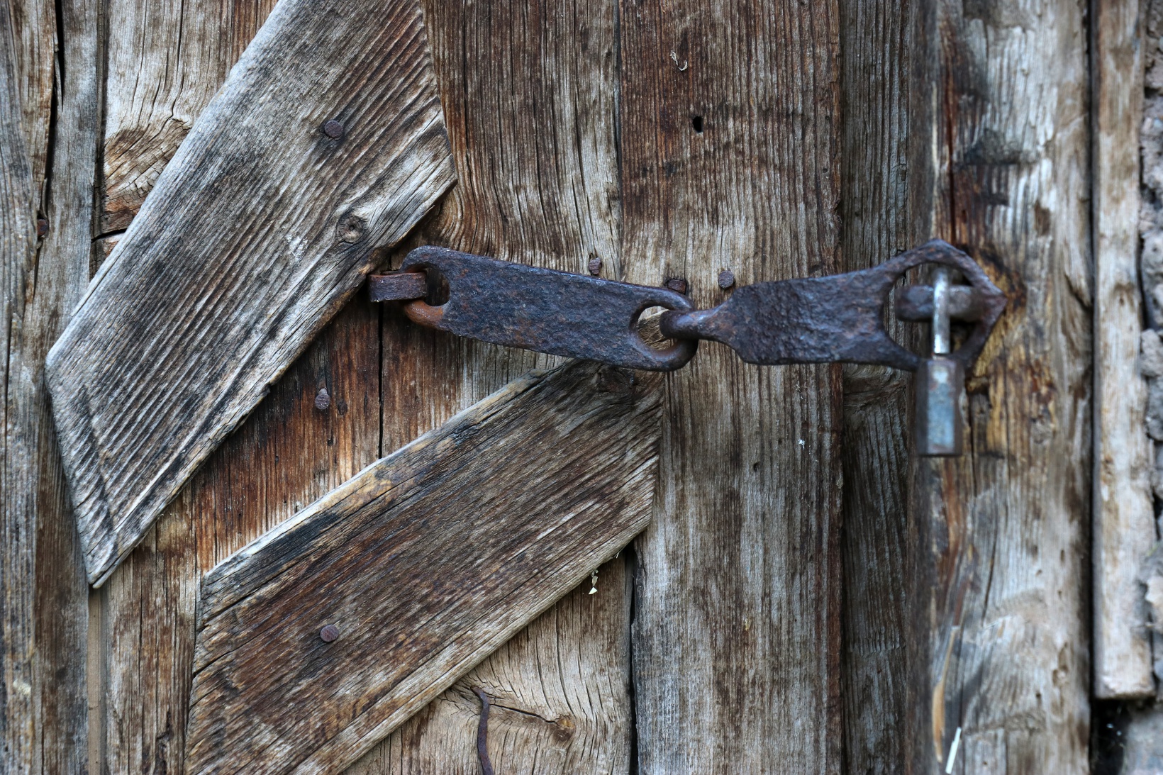 Tarihi mahallede bahar güzelliği | Süleymaniye çiçek açtı 43