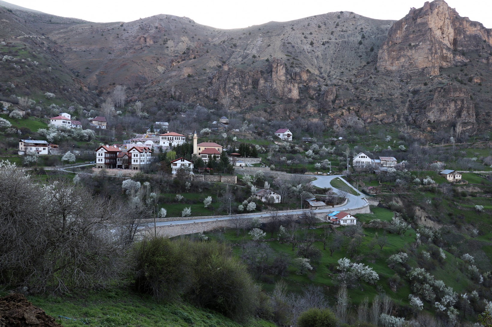 Tarihi mahallede bahar güzelliği | Süleymaniye çiçek açtı 15