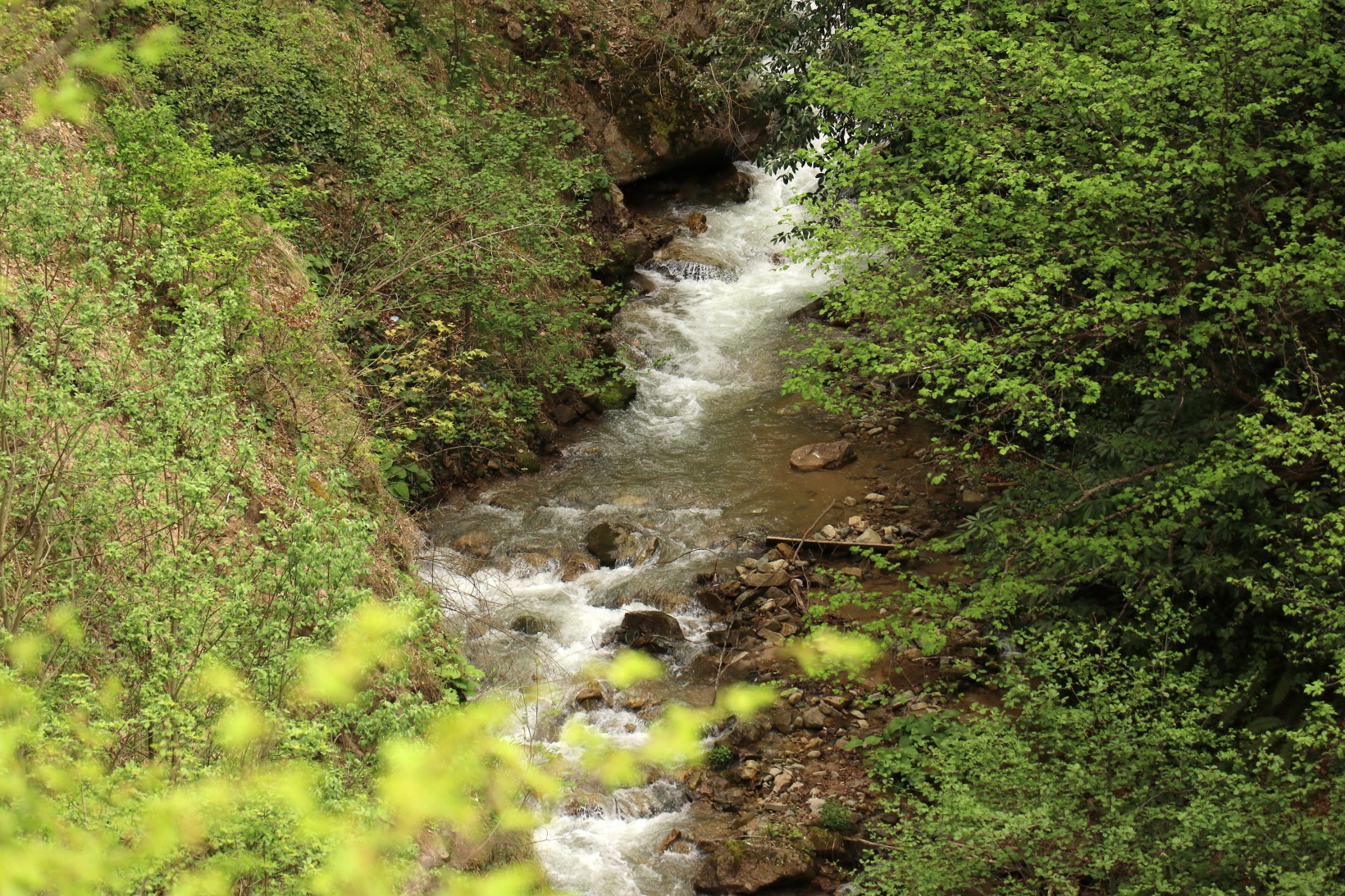 Gümüşhane'nin saklı cenneti Çağlayandibi Şelalesi baharla coştu 23