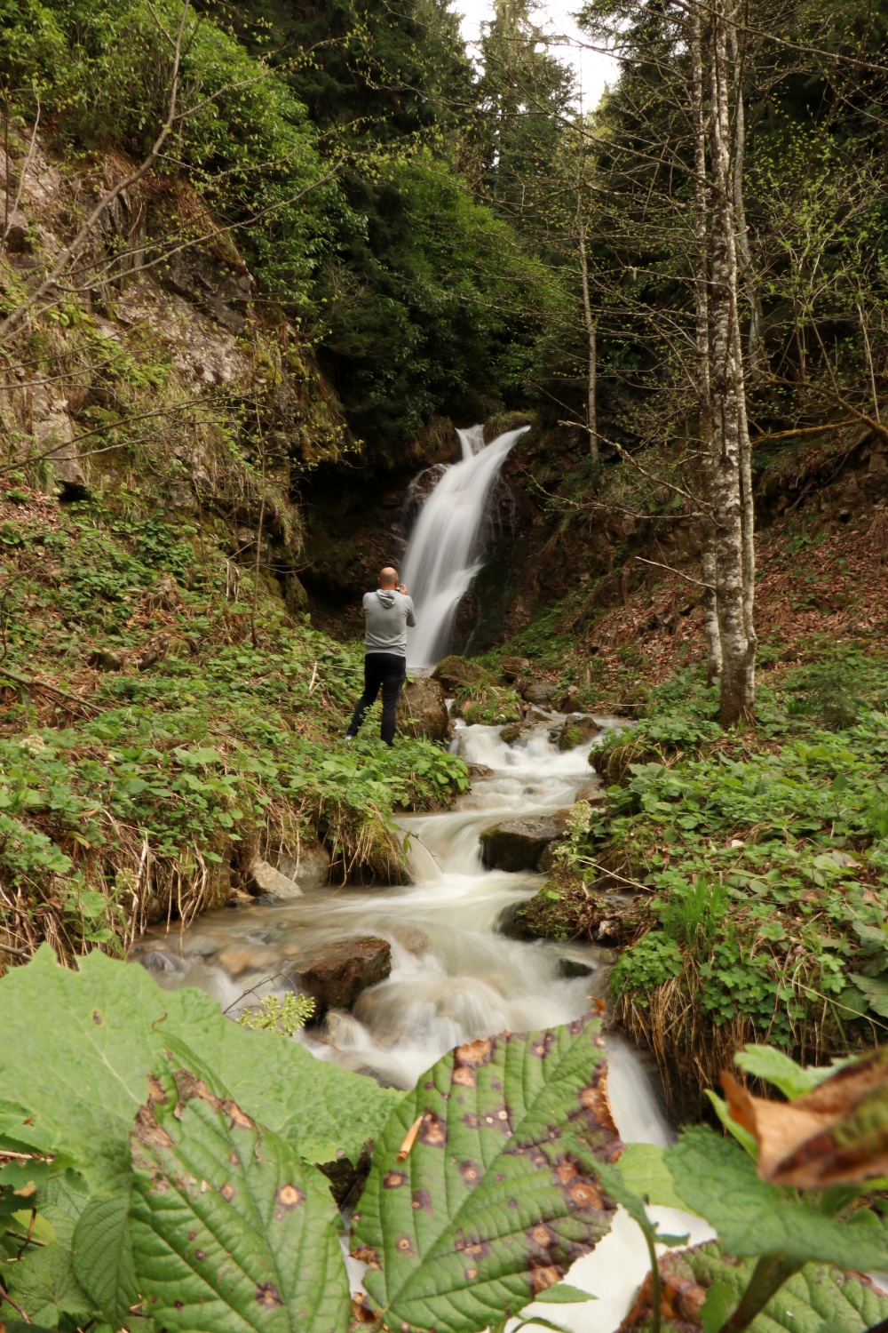 Gümüşhane'nin saklı cenneti Çağlayandibi Şelalesi baharla coştu 24