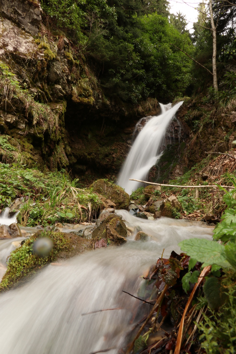 Gümüşhane'nin saklı cenneti Çağlayandibi Şelalesi baharla coştu 11