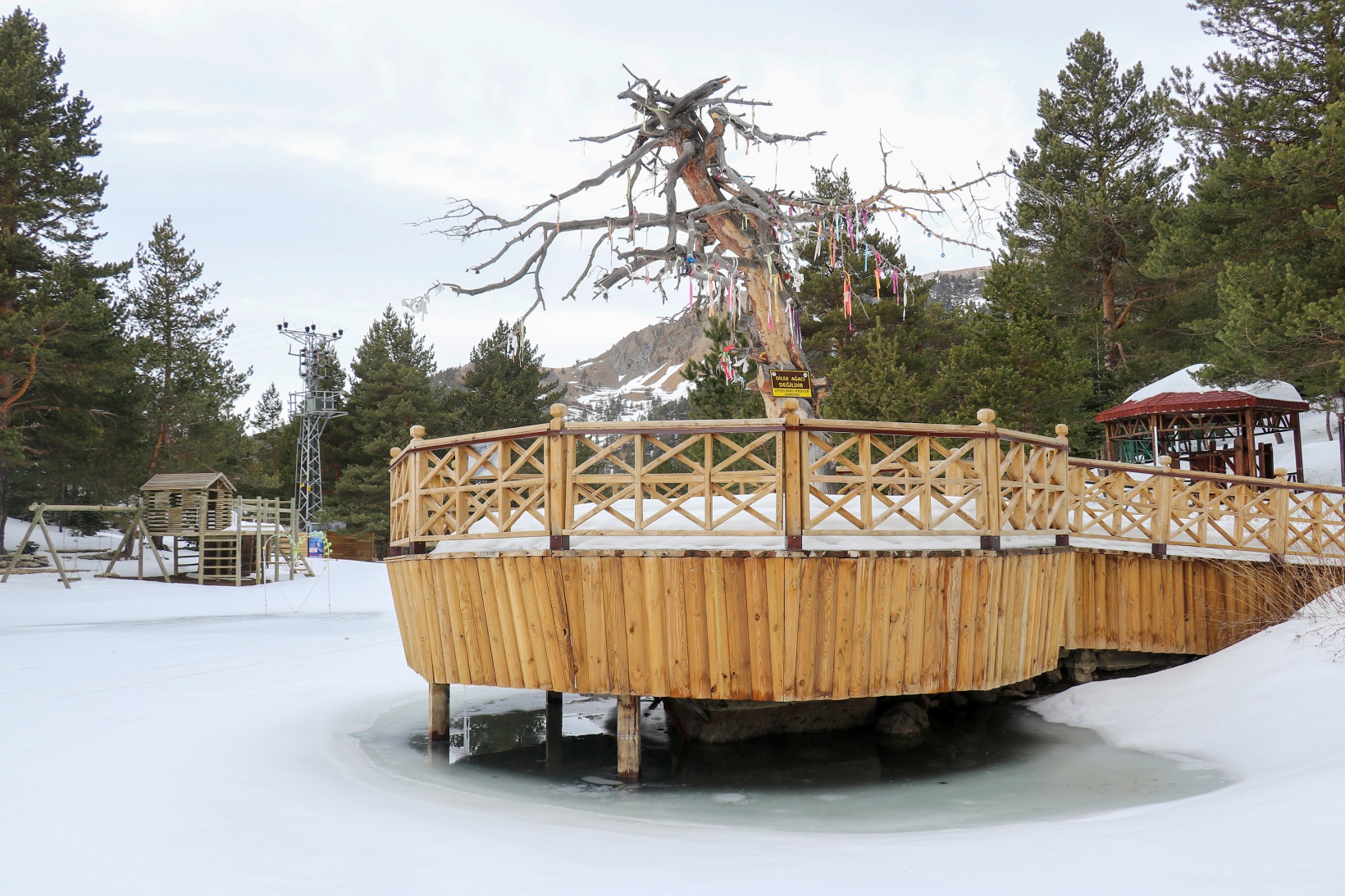 Zigana'dan Limni'ye adrenalin yolculuğu 2